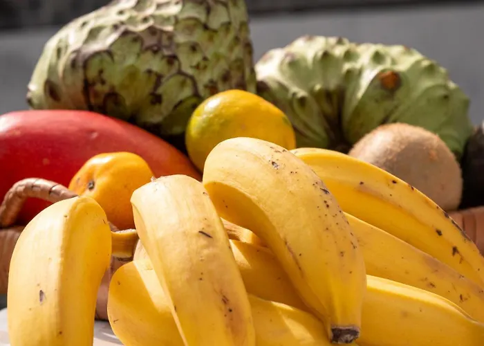 Isabela House Ponta do Sol (Madeira)