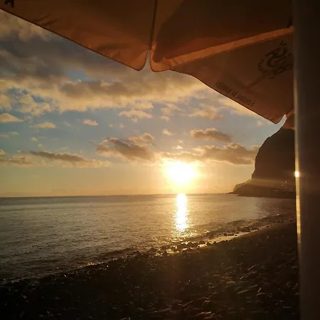 فيلة Isabela House