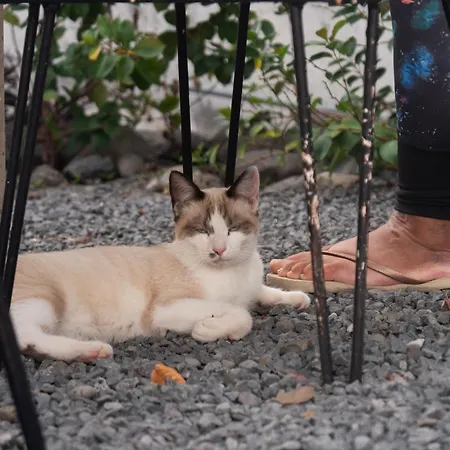 Isabela House بونتا دو سول