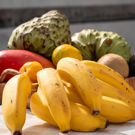 Isabela House Ponta do Sol (Madeira)